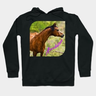 Bay Arabian Hoodie